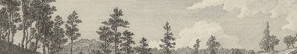 Deeper-Well-Volume-IV-header-1